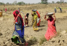 जी राम जी स्कीम में काम आएगा मनरेगा का जॉब कार्ड, रोजगार योजना जल्द लागू करने की तैयारी