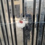 एमडीडीए की बड़ी कार्रवाई, सुरक्षा मानकों की अनदेखी पर ऋषिकेश में बहुमंजिला भवन को किया सील