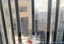 एमडीडीए की बड़ी कार्रवाई, सुरक्षा मानकों की अनदेखी पर ऋषिकेश में बहुमंजिला भवन को किया सील