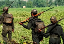 टॉप लीडरशीप के खात्मे के बाद माओवादियों का हर निशान मिटाने की तैयारी