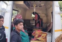 घास लेने गयी महिला पर भालू का हमला, एयर लिफ्ट कर पहुँचाया हायर सेंटर