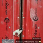 ऋषिकेश में अवैध बहुमंजिला निर्माण पर एमडीडीए की बड़ी कार्रवाई, मनीराम मार्ग का भवन सील