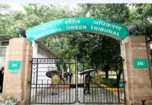 यमुना प्रदूषण मामले में राष्ट्रीय हरित न्यायाधिकरण ने कई एजेंसियों को नोटिस जारी किए