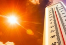 देश में भीषण गर्मी और लू का कहर तेज, दुनिया के 100 सबसे गर्म शहरों में 95 भारत के