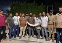डेढ़ करोड़ के हाथी दांत के साथ दो तस्कर गिरफ्तार, एसटीएफ ने उधमसिंहनगर के सितारगंज से दबोचा