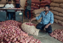 सरकार ने प्याज़ की उपलब्धता सुनिश्चित करने के लिए बफर स्टॉक से प्याज की बिक्री शुरू की